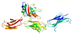 Protein_ACAN_PDB_1tdq