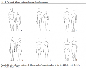 coupleheight