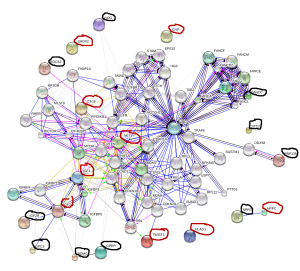 height gene proteins