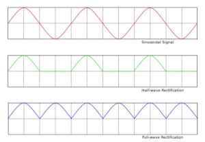 Tissue Transdifferentiation