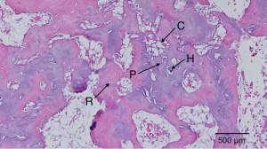 microgrowthplate