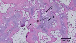 microgrowthplate