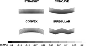 growth plate morphology