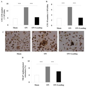 Bone, Accepted manuscript. doi:10.1016/j.bone.2015.09.012