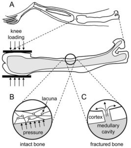 pressure-caused-by-fluid-flow