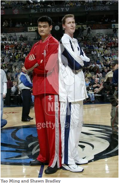 Yao Ming Height Comparison